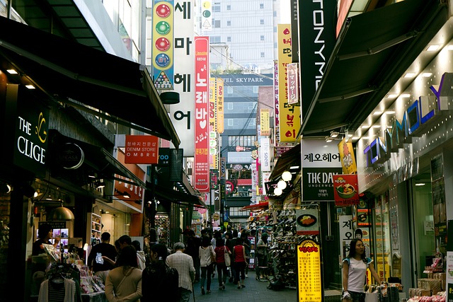 South Korea Digital Nomad Visa A Closer Look Best Place For Digital Nomads To Explore The World